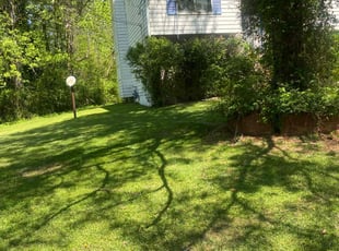 Felicia D.'s Lawn Care service result