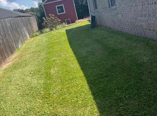 Elmer M.'s Lawn Mowing service result