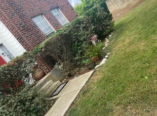 Bush Trimming by Jose Escobedo for April A. in San Antonio, TX