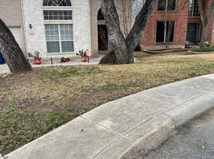 Leaf Removal by Aldo Mancha for Alan A. in San Antonio, TX