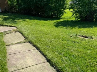 William O.'s Lawn Care service result