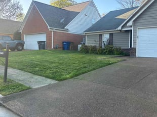 Giovanni B.'s Lawn Mowing service result