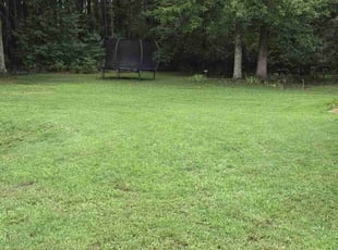 Cesar A.'s Lawn Service service result