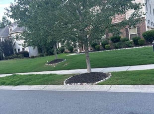 Jessica J.'s Lawn Service service result