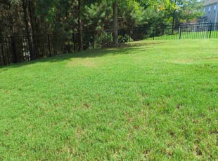 Jay M.'s Yard Cutting service result