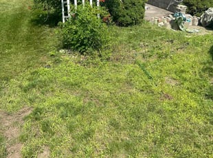 Weeding by Troy Carroll for Sherry l. in Schenectady, NY