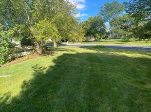 Sherri W.'s Lawn Mowing service result