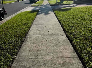 Rose A.'s Lawn Care service result