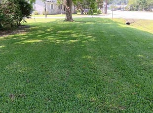 Jeffrey H.'s Yard Cutting service result