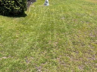 Landscaping by Charles Gadsden for Altonio R. in Gaston, SC