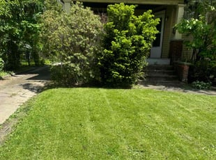 Leo i.'s Lawn Service service result
