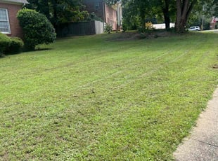 Hollis D.'s Lawn Mowing service result