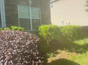 Bush Trimming by Chris Fleming for darien d. in College Park, GA