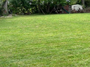 Joseph D.'s Lawn Care service result