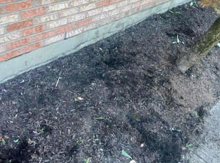 Weeding by Josiah Gibbs for Amir M. in Mason, OH