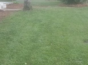 Leaf Removal by Chris Chance for Walt T. in Vestavia Hills, AL