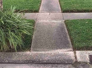 David K.'s Grass Cutting service result