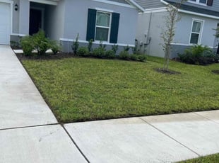 Steve A.'s Yard Cutting service result