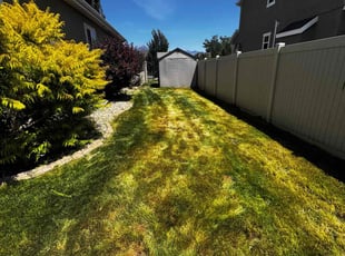Cleanups by Roger Armas for Nate D. in Riverton, UT