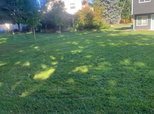 Joyce W.'s Lawn Care service result