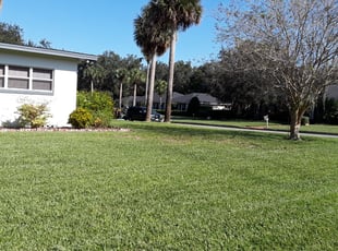 Vergie W.'s Lawn Care service result