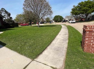 Mary J.'s Lawn Care service result