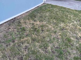 Weeding by Carlos Ledesma for Scot M. in Keizer, OR