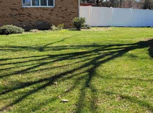 Andrea A.'s Lawn Mowing Service service result