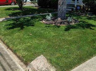 Amanda L.'s Lawn Mowing service result