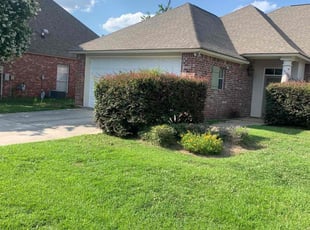 Bush Trimming by Johnnie Spears for Yoon Ha L. in Baton Rouge, LA