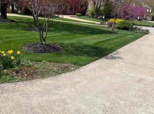 Paul E.'s Yard Cutting service result
