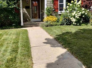Theresa B.'s Lawn Service service result