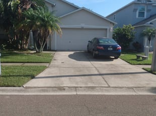 Weeding by Louis Reele for Haley C. in Riverview, FL