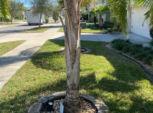 Dan S.'s Lawn Maintenance service result