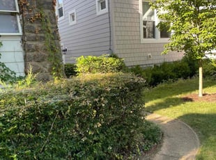 Bush Trimming by Tamunosaki Danagogo for Christi C. in Washington, DC