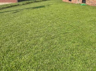 Mitchell W.'s Lawn Maintenance service result