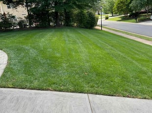 Anita K.'s Lawn Care service result