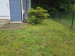 Bush Trimming by Robert Witt for John S. in Lowell, MA