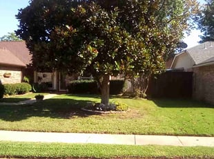 Tina P.'s Lawn Maintenance service result