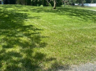 Kristy Q.'s Lawn Service service result
