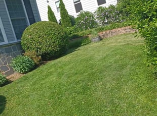 Judith L.'s Yard Cutting service result