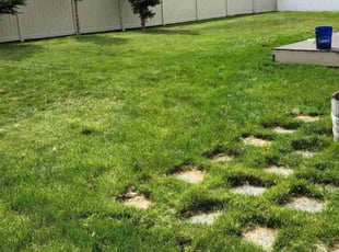 Cleanups by Michael McNearney for Ashley H. in Spokane, WA