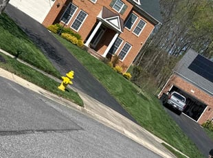 Dona P.'s Lawn Mowing service result