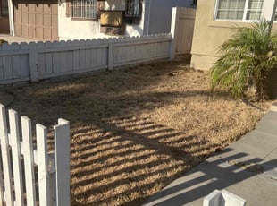 Cleanups by Perry Lotts for Grant G. in San Diego, CA