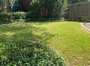 Victoria B.'s Lawn Mowing service result