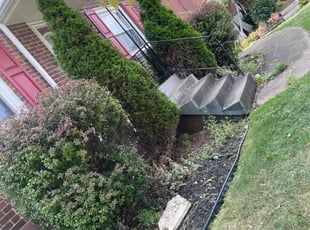 Bush Trimming by Jennifer Frain for Brandon K. in Pittsburgh, PA