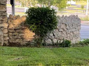 Bush Trimming by Harold Mabin Jr for Linda A. in Kansas City, MO