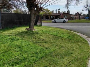Jennifer H.'s Lawn Mowing Service service result
