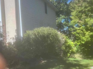 Bush Trimming by Jesus Alvarado for David L. in Eagan, MN