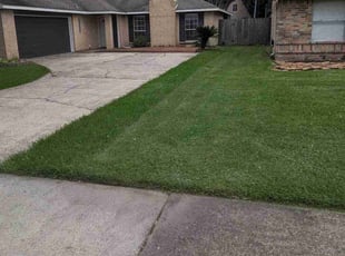 Jada R.'s Lawn Service service result